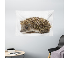 Small Mammal Wide Tapestry