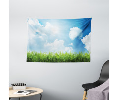 Sunny Day Grass Clouds Wide Tapestry