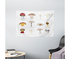 Blusher Boletus Sketch Wide Tapestry