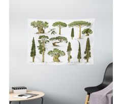 Forest Growth Ecology Wide Tapestry