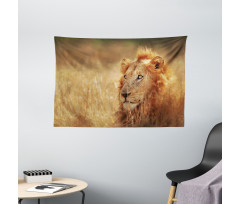 Male Lion Grass Field Wide Tapestry