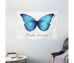 Abstract Butterfly Wide Tapestry