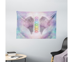 Color Balls Wide Tapestry