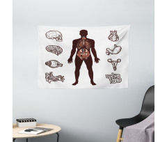 Organs Infographic Image Wide Tapestry