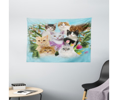 Cats Feline Domestic Wide Tapestry