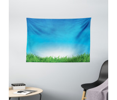 Sunburst Stripes with Grass Wide Tapestry