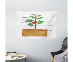 Parts of a Tomato Plant Wide Tapestry