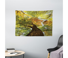 Autumn Tree of Nature Photo Wide Tapestry