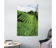 Sunny Landscape Tea Fields Tapestry