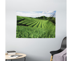 Sunny Landscape Tea Fields Wide Tapestry