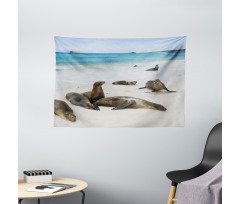 Galapagos Island Sea Lions Wide Tapestry