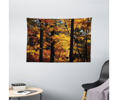 Fall Tranquil Countryside Wide Tapestry