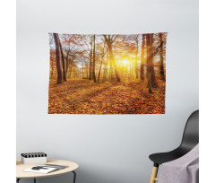 Foggy Sunset Sunbeams Wide Tapestry