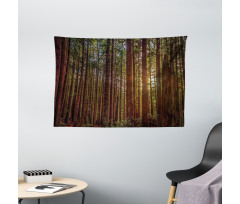 Redwood Forest Park USA Wide Tapestry
