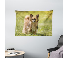 Long Haired Small Dog Wide Tapestry