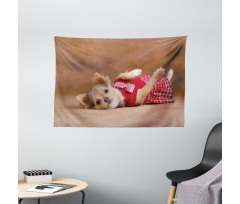 Puppy Wearing Kilt Photo Wide Tapestry