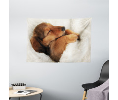 Puppy Sleeping in Its Bed Wide Tapestry