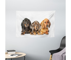 Different Color Dogs Lays Wide Tapestry