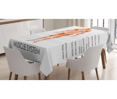 Biology Muscle System Tablecloth