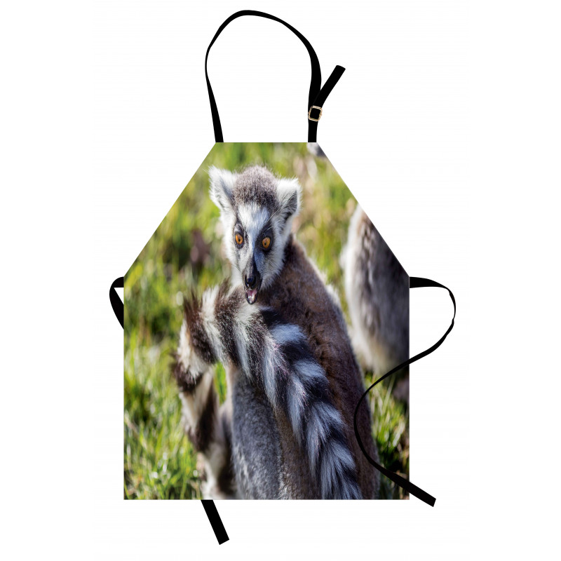 Ring Tailed Funny Expression Apron