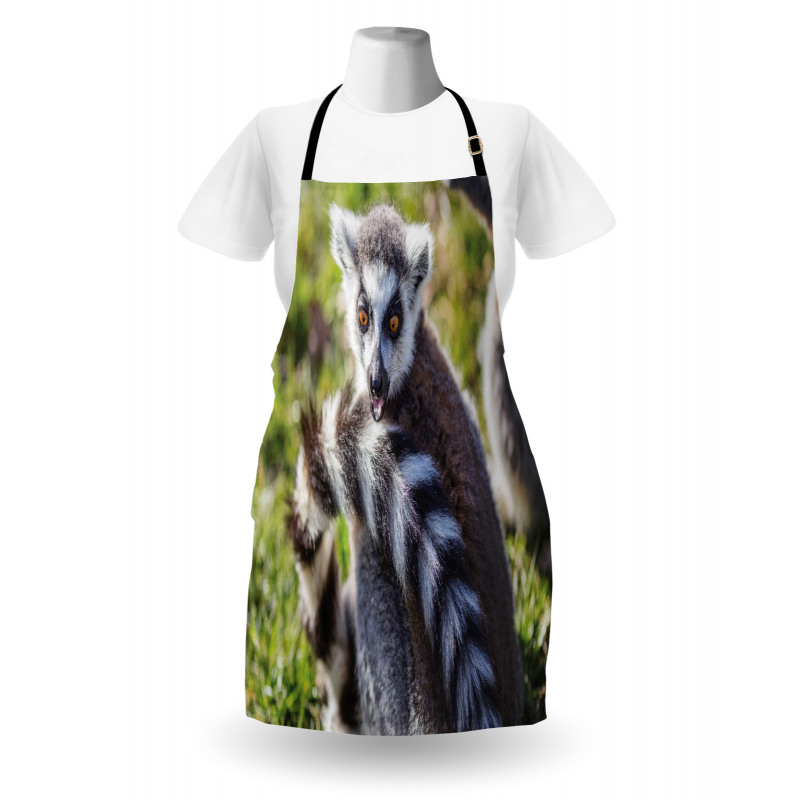 Ring Tailed Funny Expression Apron