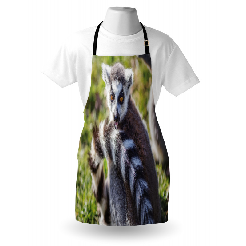 Ring Tailed Funny Expression Apron