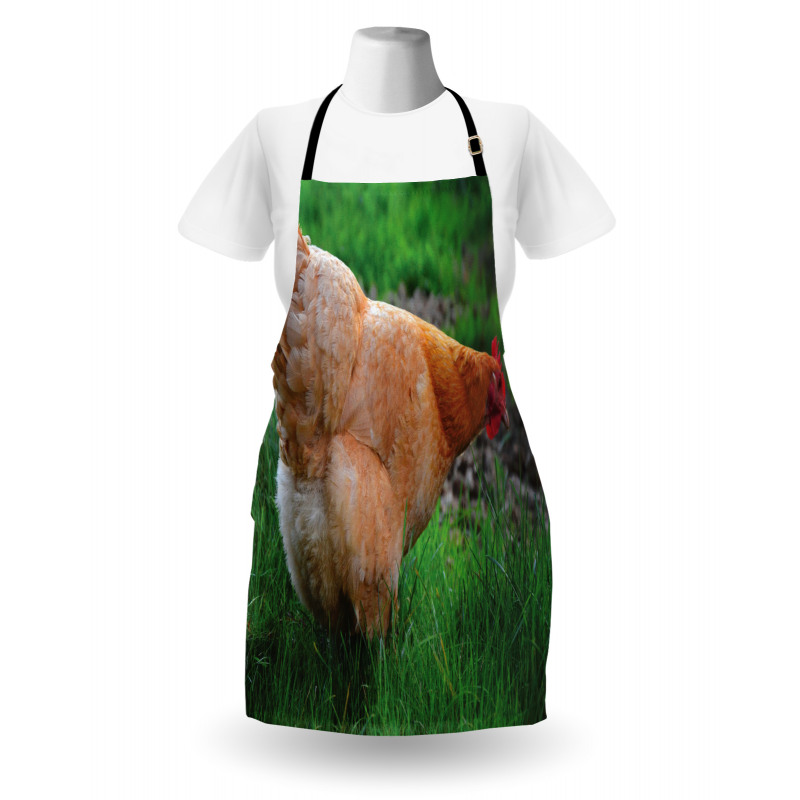 Chicken on Grass Farm Photo Apron