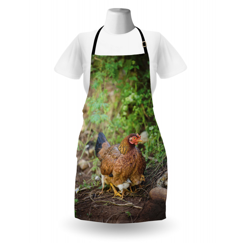 Chicken on Babies Apron