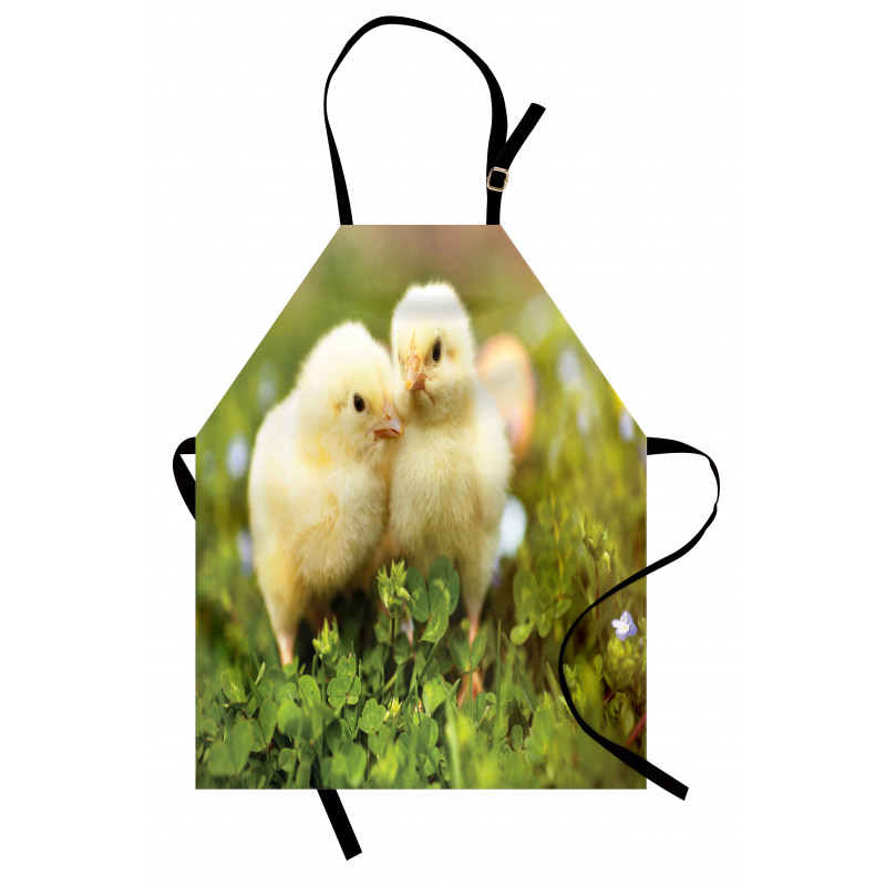 Baby Chickens Photo Apron