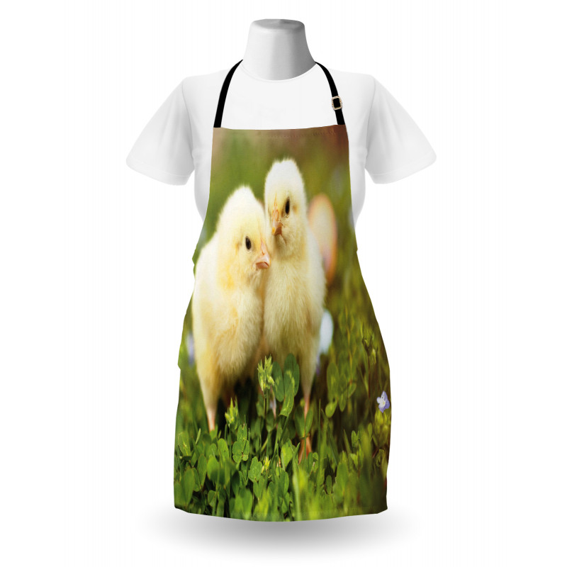 Baby Chickens Photo Apron