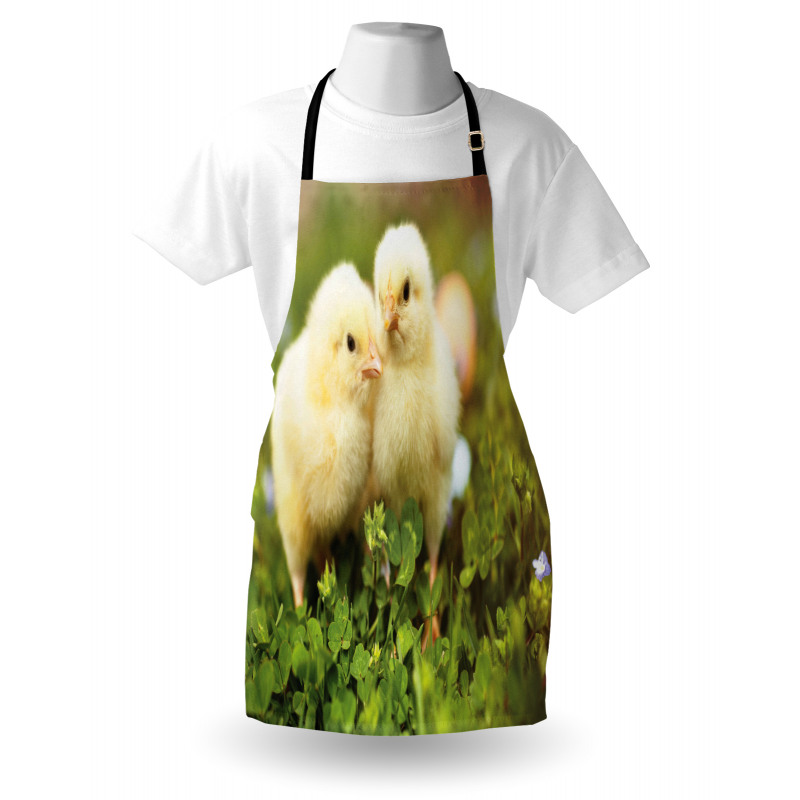 Baby Chickens Photo Apron