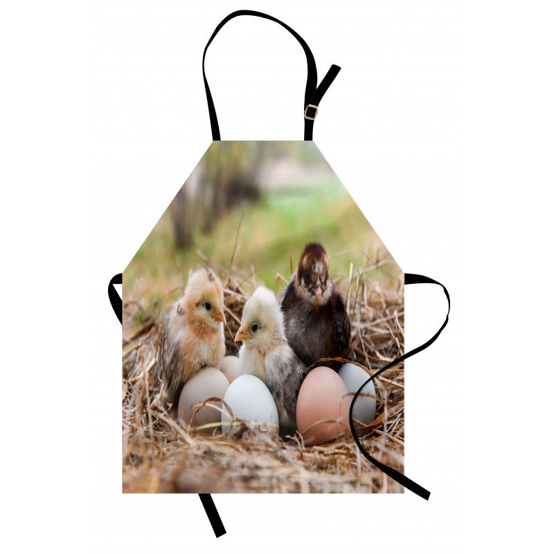 Little Chickens in Hay Eggs Apron