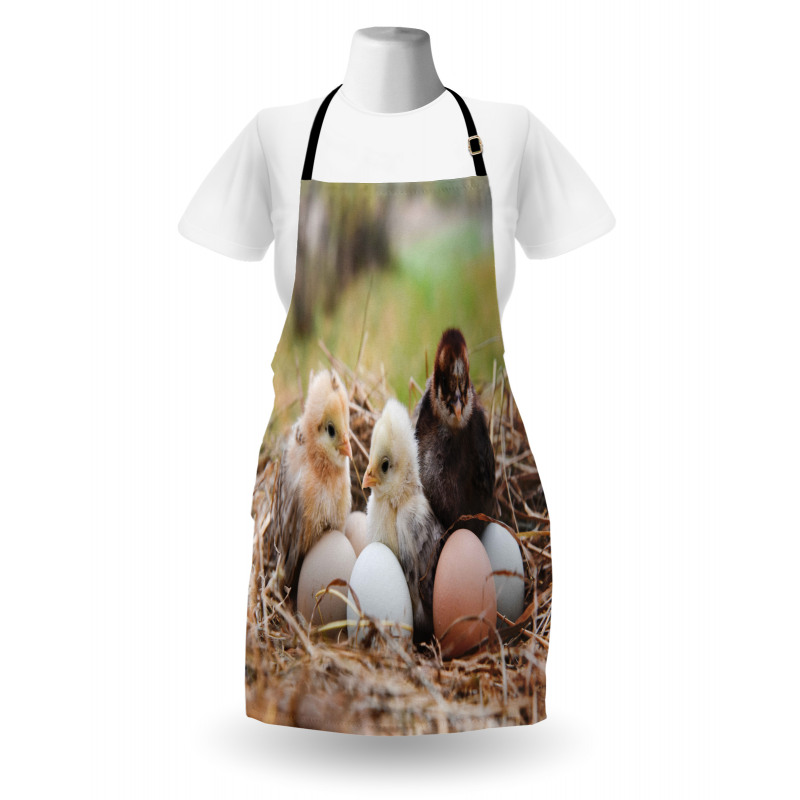 Little Chickens in Hay Eggs Apron