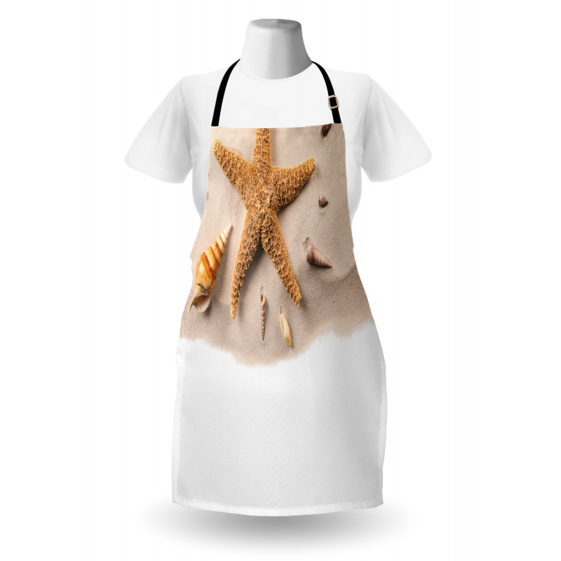 Close up Shot Seashells Apron