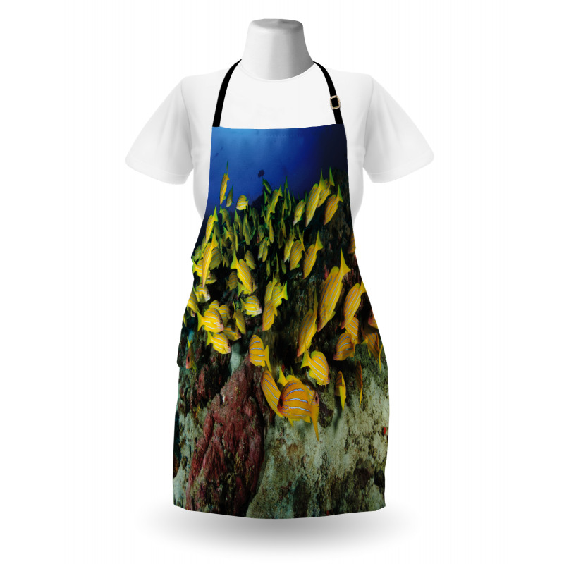 Tropical Fish Coral Reef Apron