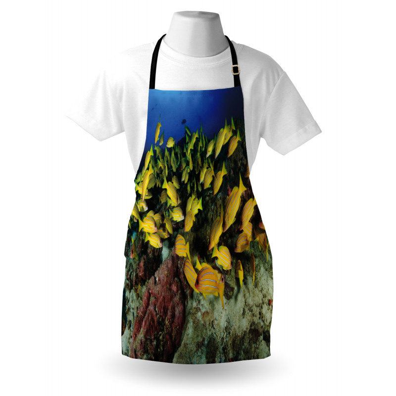 Tropical Fish Coral Reef Apron