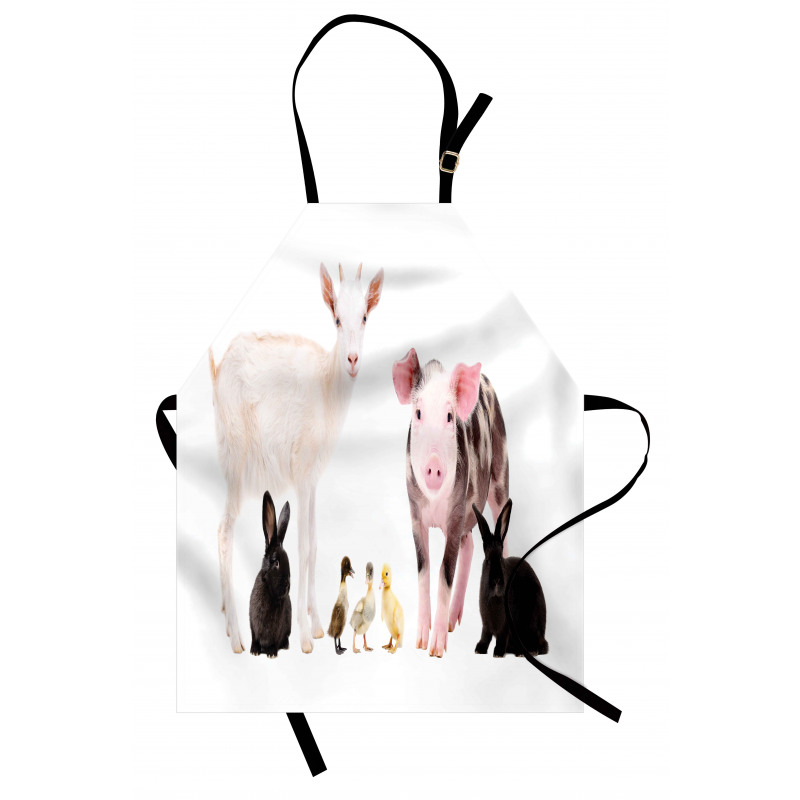 Ducks Pig Goat Bunnies Apron