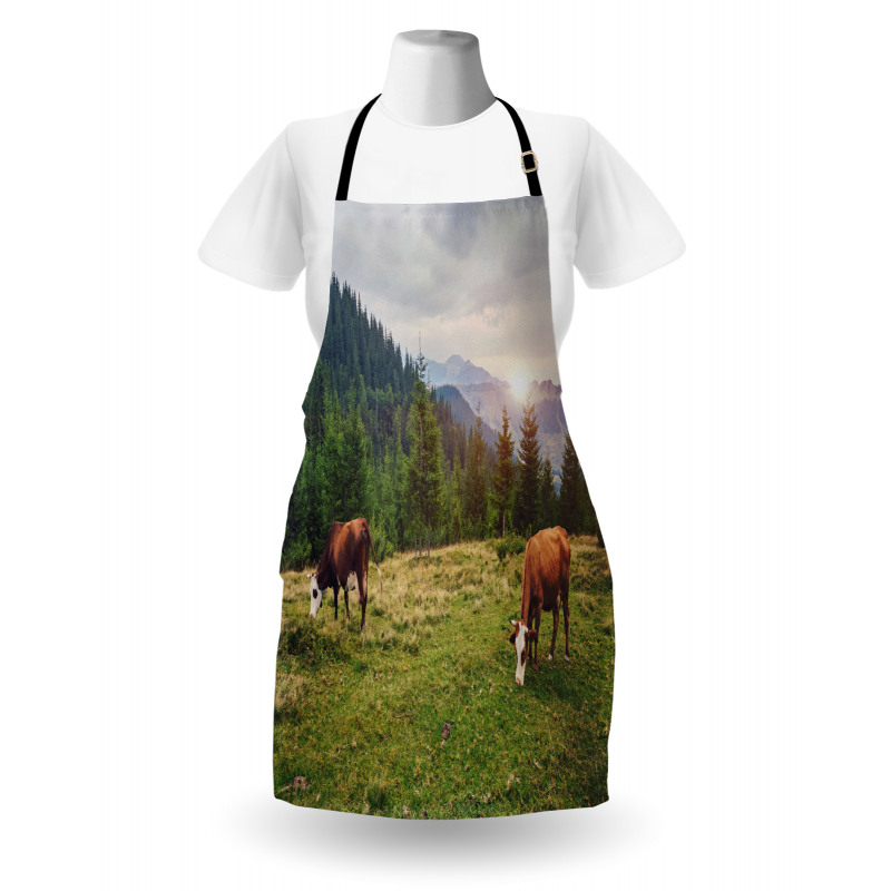 Cows Grazing in Meadow Apron