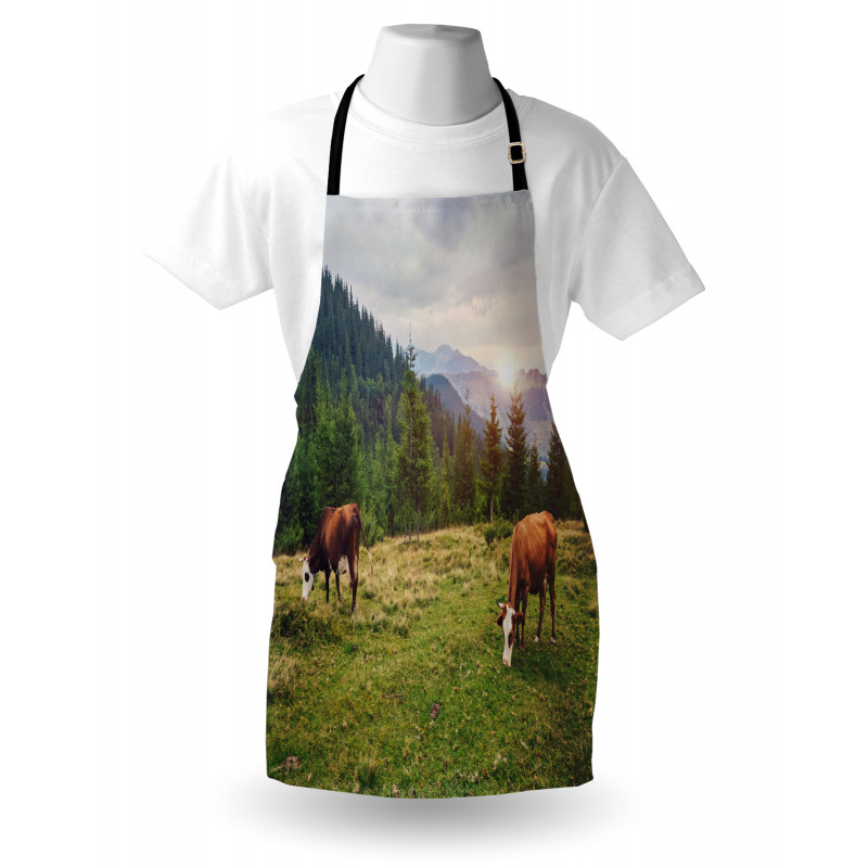 Cows Grazing in Meadow Apron