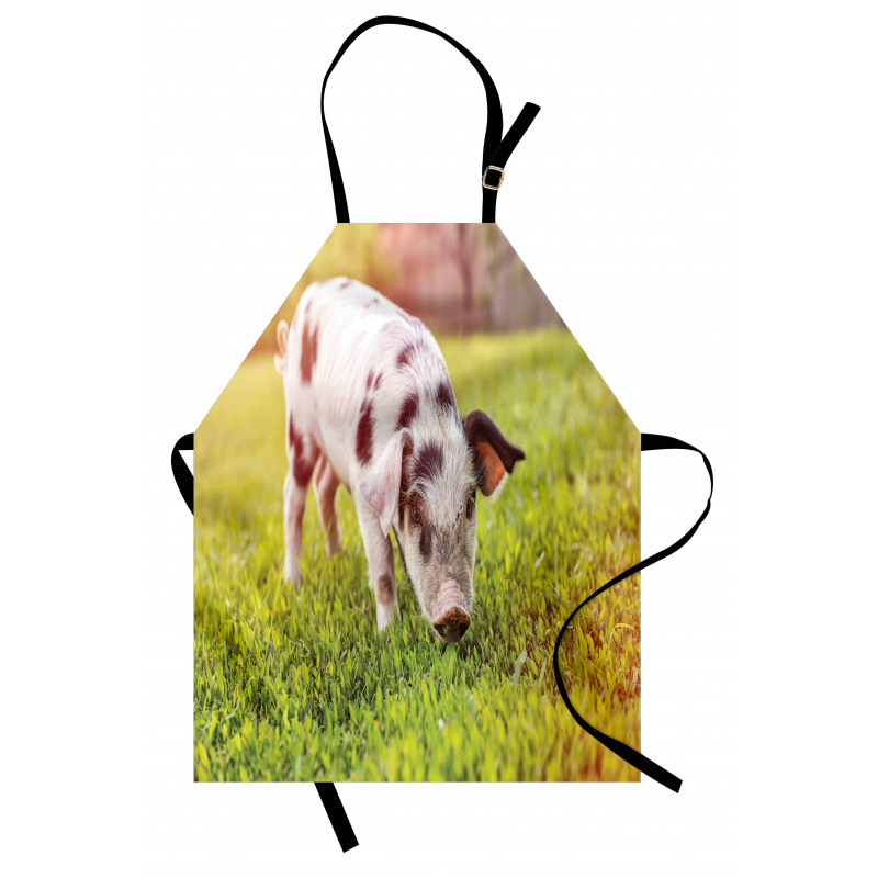 Baby Pig with Spots Apron