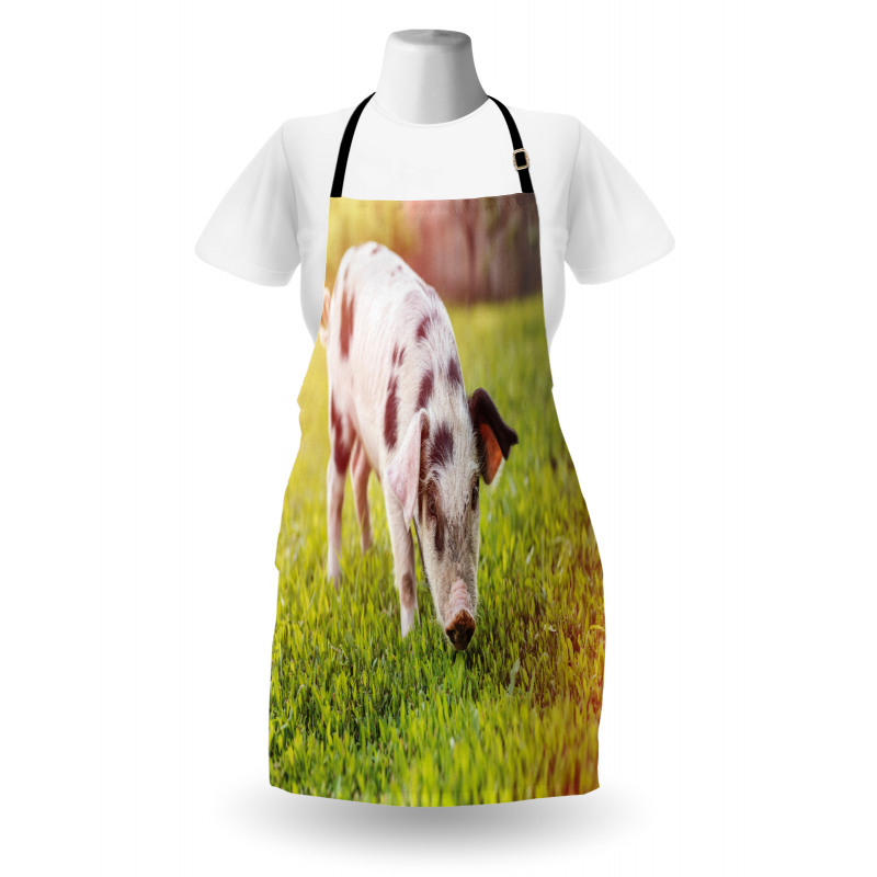 Baby Pig with Spots Apron