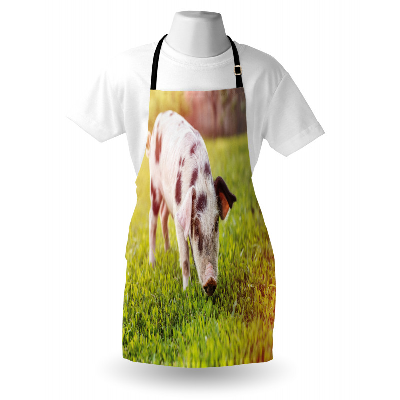 Baby Pig with Spots Apron