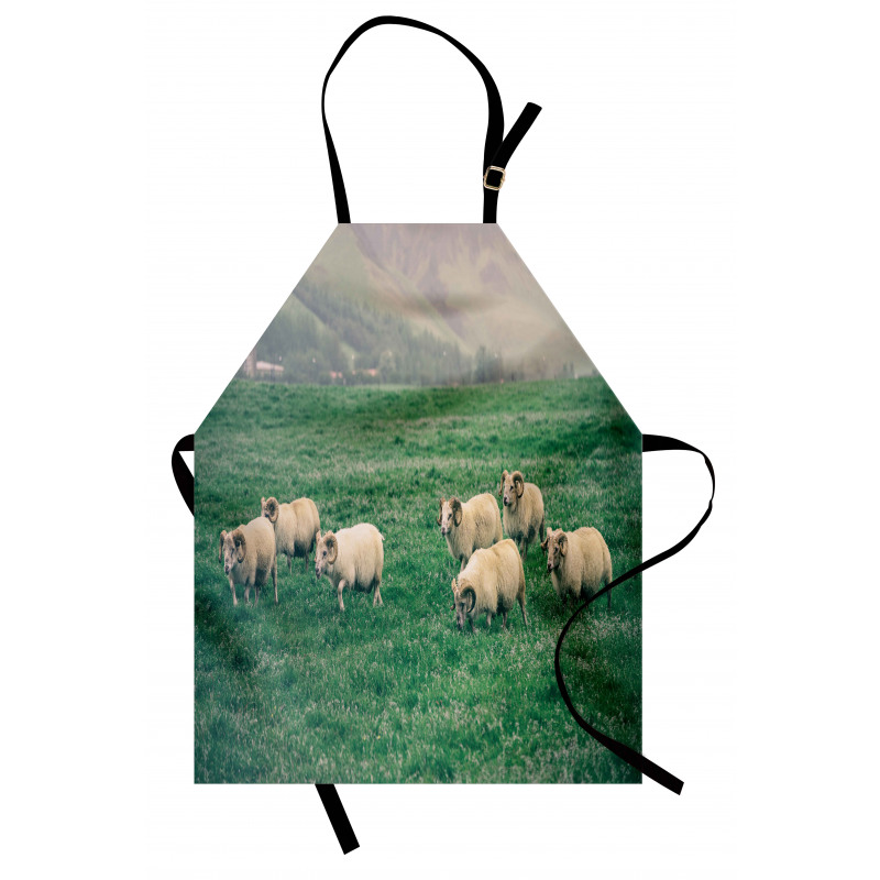 Sheep Grazing on Grass Apron