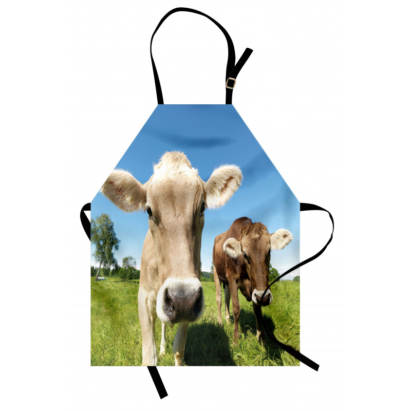 Close up Cows Apron