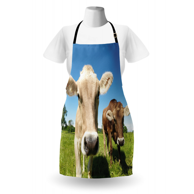 Close up Cows Apron