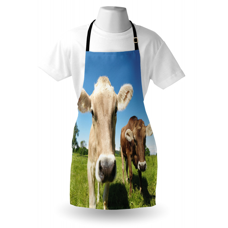 Close up Cows Apron