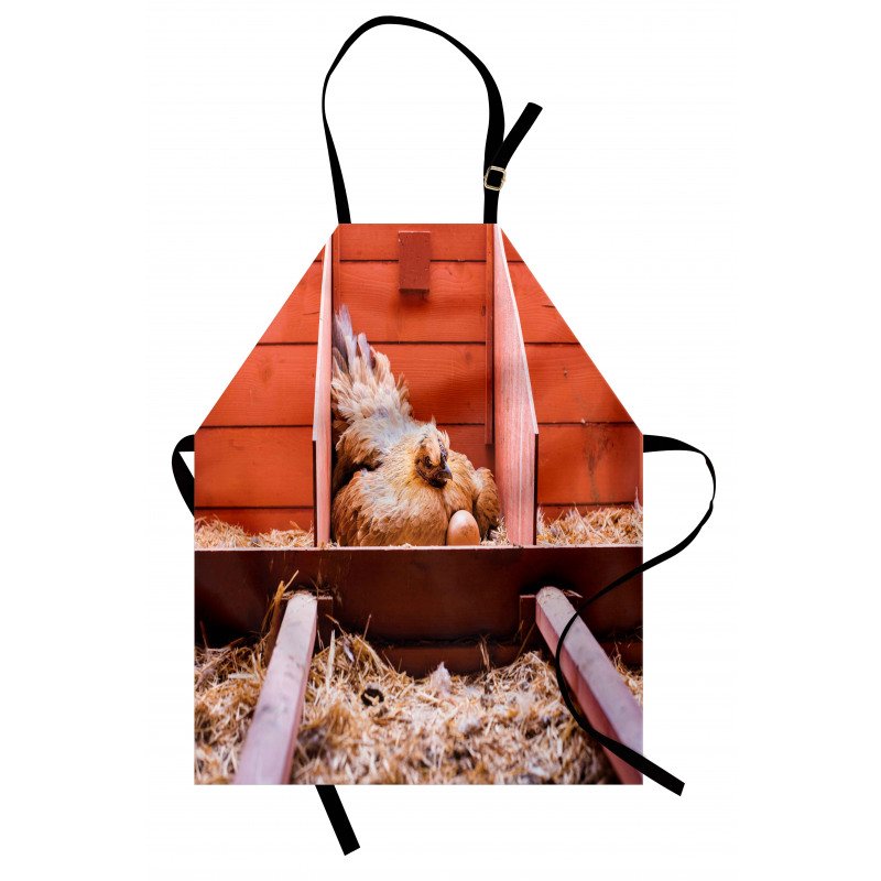 Hen in Cage with Eggs Apron