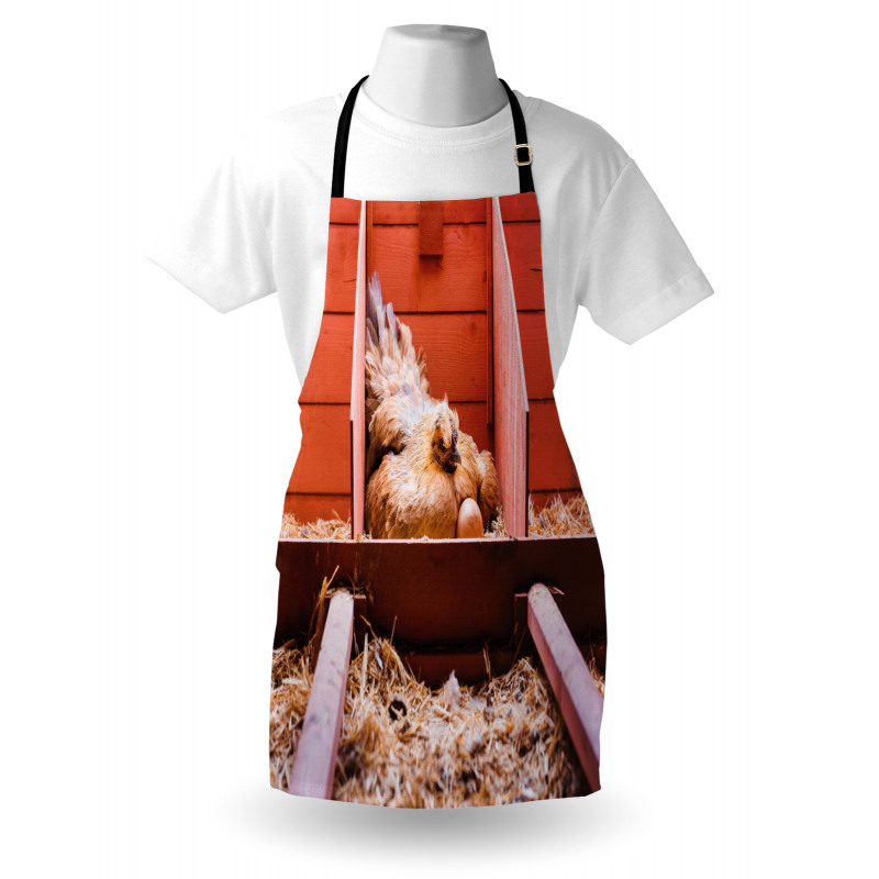 Hen in Cage with Eggs Apron