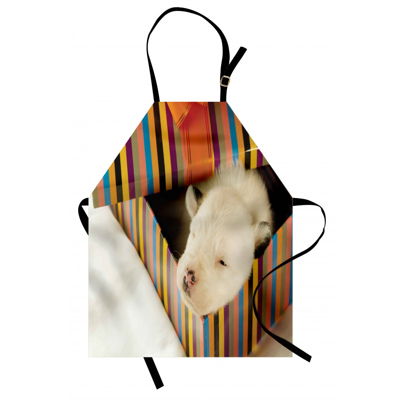 Newborn Dog in Gift Box Photo Apron