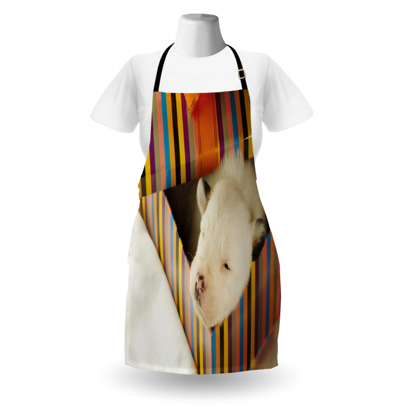 Newborn Dog in Gift Box Photo Apron